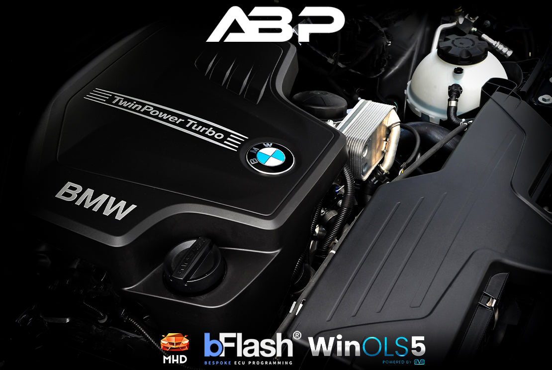 BMW N20/6 F3x F1x Custom Tune