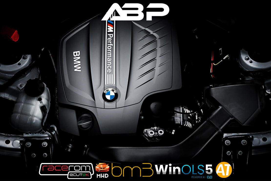 BMW N55 F3x F1x F2x CustomTune